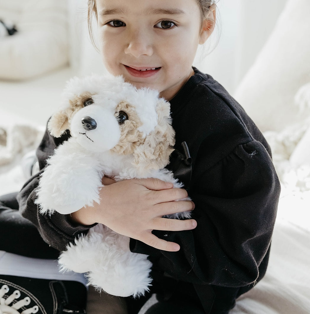 Everyday Plush & Accessories