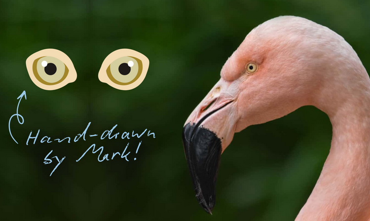 Flamingo plush toy from Zoologee and The Petting Zoo's eco-friendly Earth Keepers line with lifelike, hand-drawn eyes.