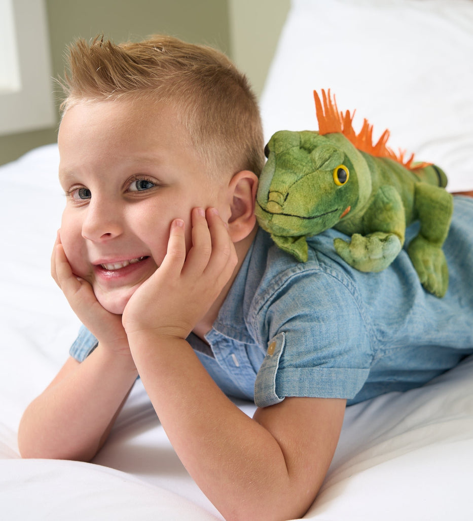 Plush Lizard Toy with Boy