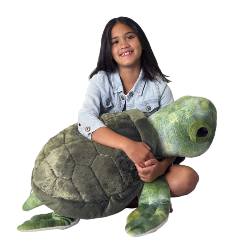 The Petting Zoo: Conservation Turtle
